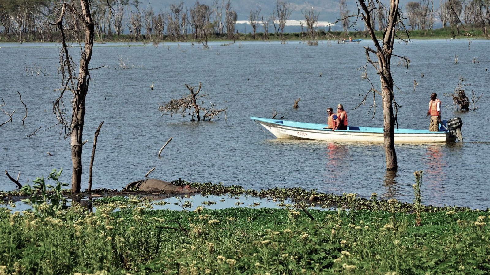 Safari en barca en Naivasha