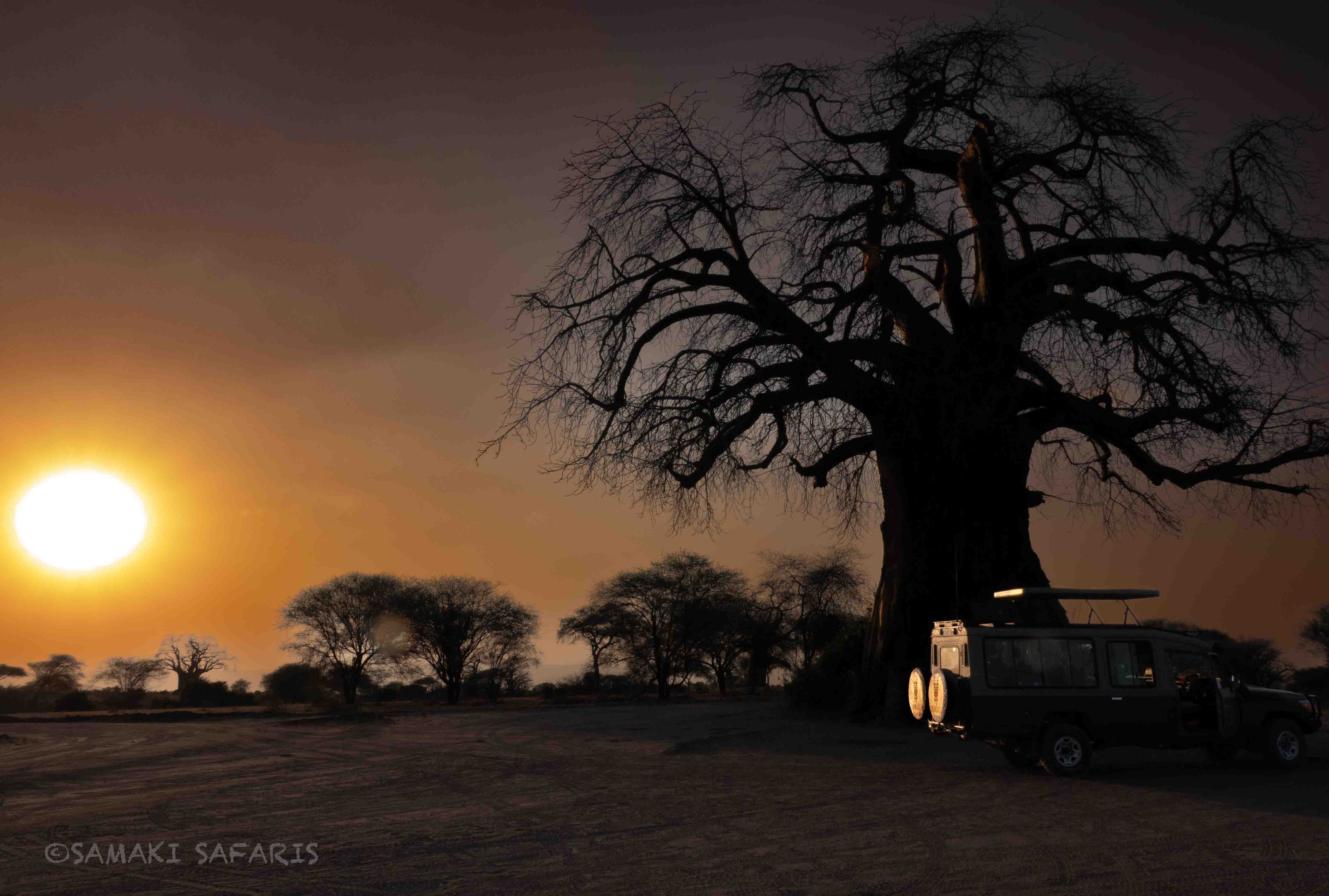 Nuestros vehículos de safari en Tanzania y Kenia