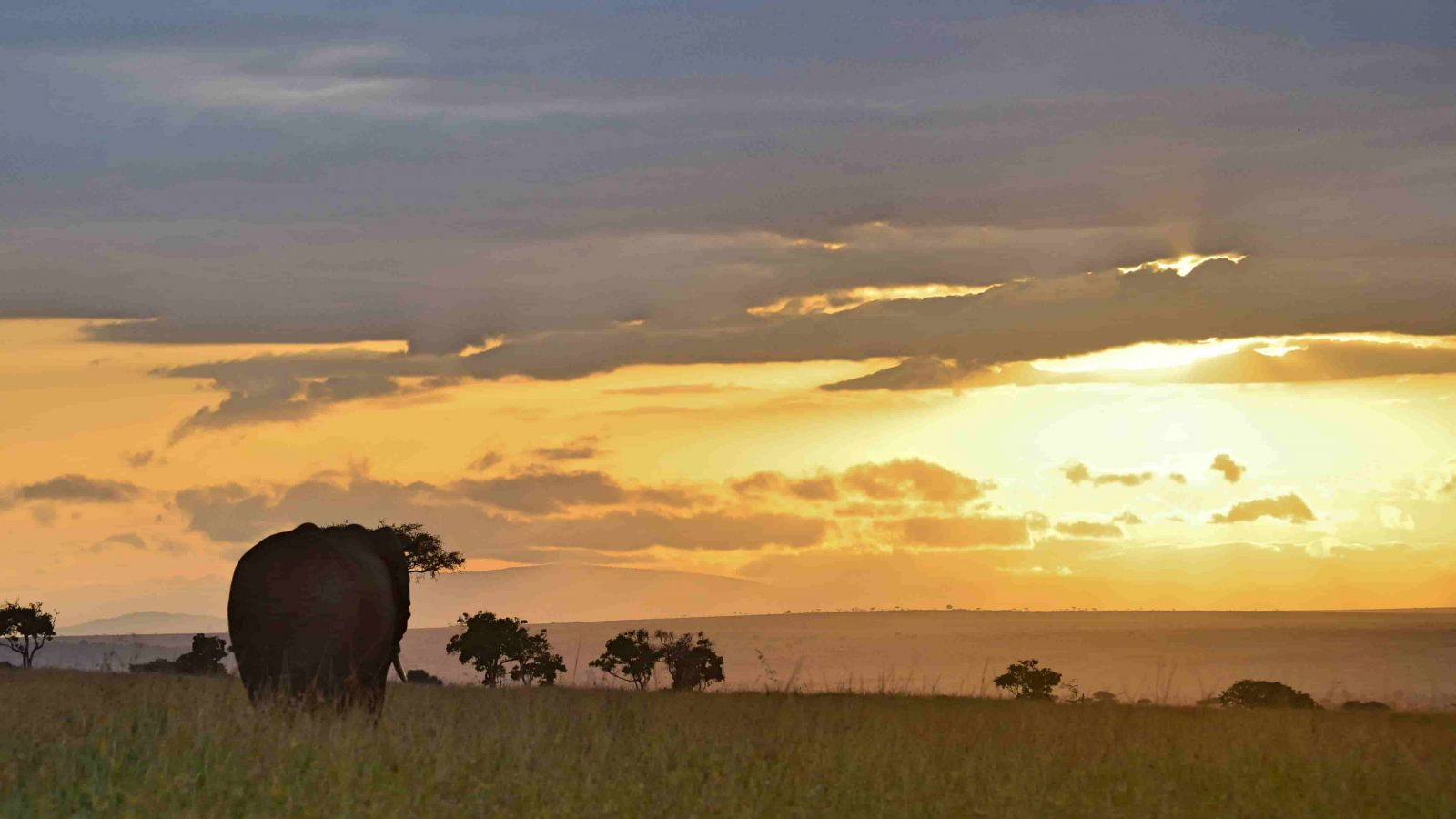 Masai Mara tour 6 días de safari 