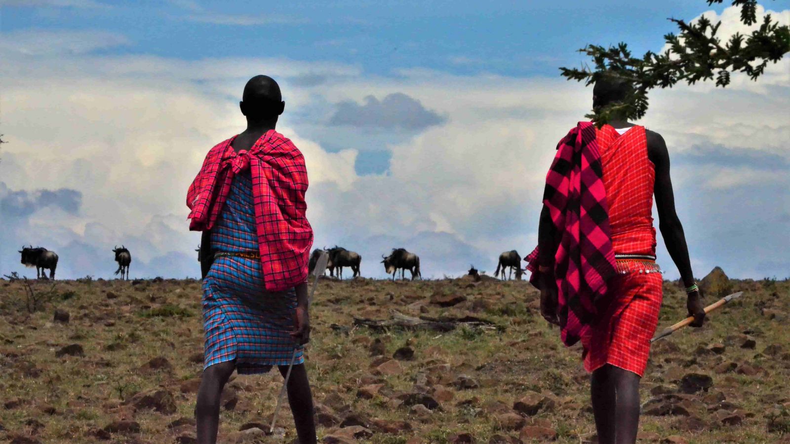 Safari a pie con Masais Naboisho