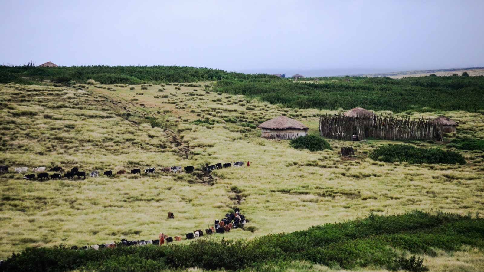 Tierras altas del Ngorongoro, experiencia Masai