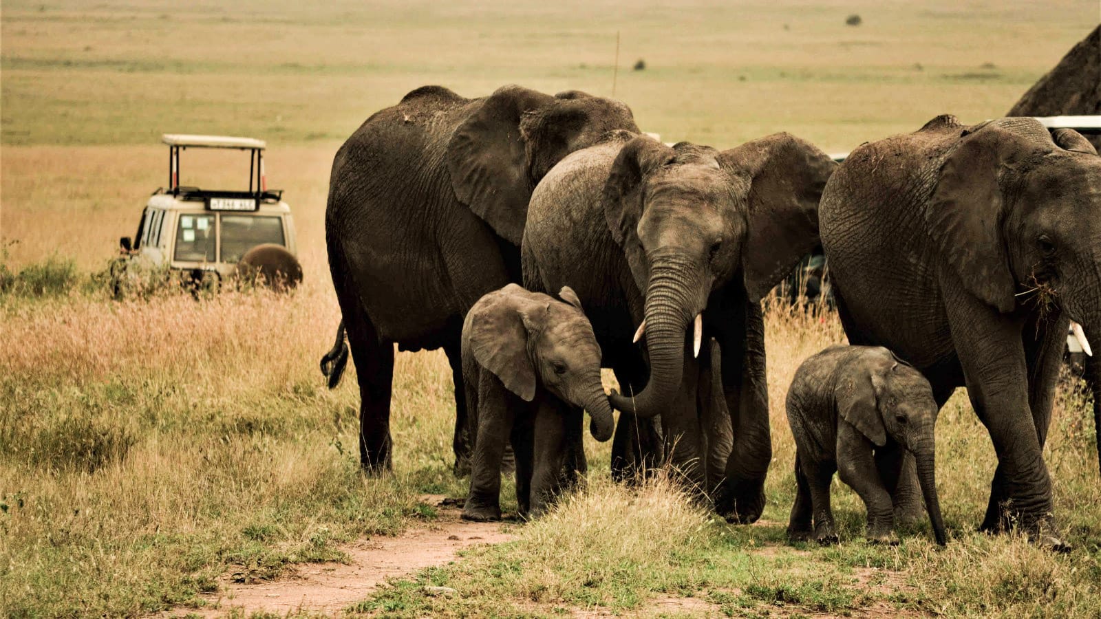 Vehículo de safari en el Serengeti